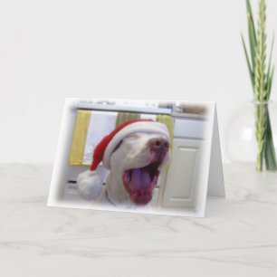 Tarjeta Festiva Fue la noche antes de los Navidades