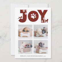 Fun Dog Paw Script JOY Modern