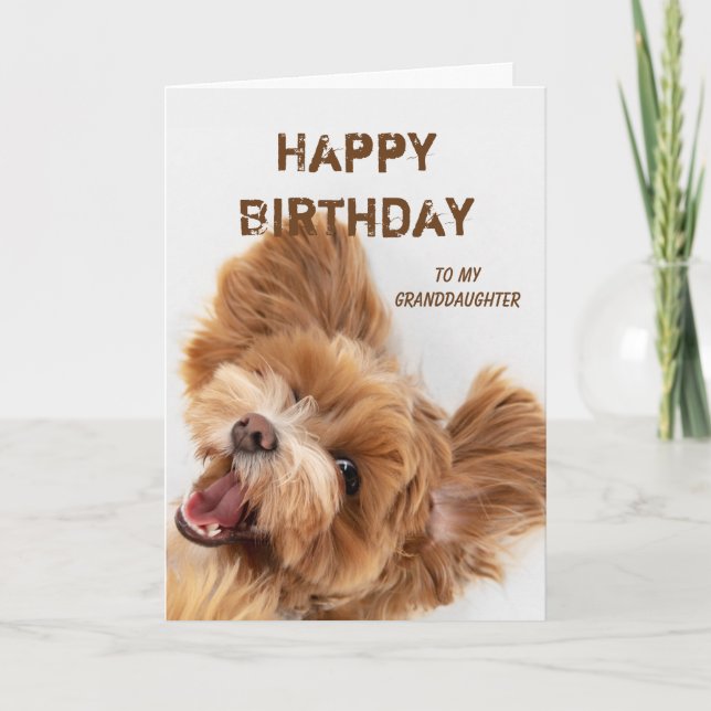 Tarjeta Festiva Fun Happy Birday Grandgirl Cute Dog Puppy (Anverso)