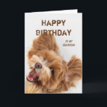 Tarjeta Festiva Fun Happy Birday Grandson Cute Dote Puppy<br><div class="desc">Navidades de Bendiciones Celtas para Cualquiera que envíe a sus amigos favoritos,  familia u otros Divertidos Felices Cumpleaños Nieto Cachorro Perro Cachorro</div>