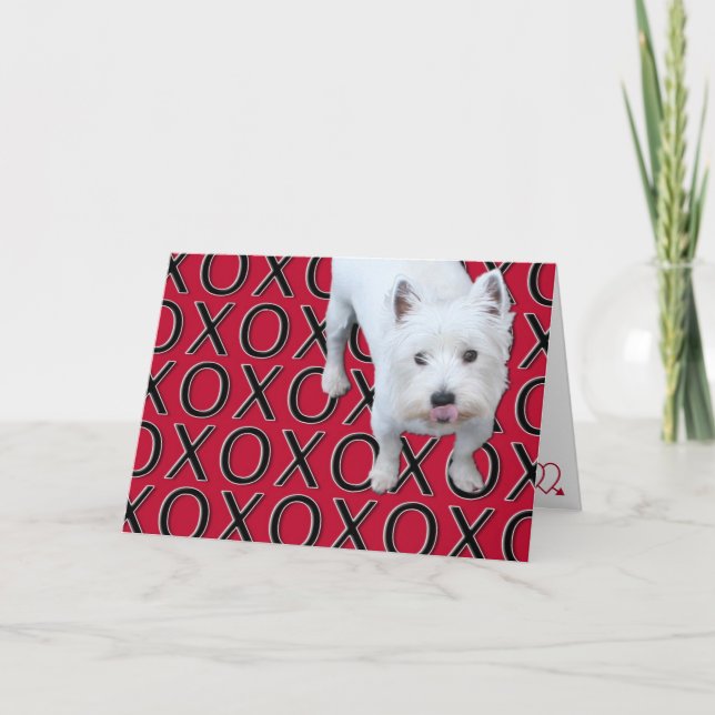 Tarjeta Festiva Fun Westie Valentine Card (Anverso)