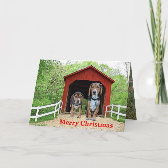 Tarjeta Festiva Funny Beagle Red Covered Bridge Navidades (Anverso)