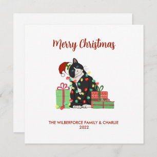 Tarjeta Festiva Funny Black Cat and Lights Navidades