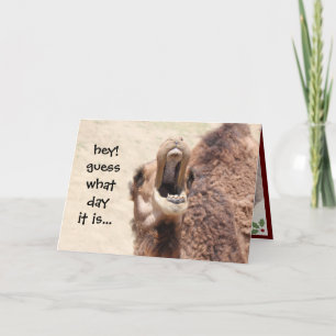 Tarjeta Festiva Funny Camel Hump Day Navidades Card