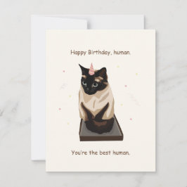 Tarjeta Festiva Funny Cat Birthday Card