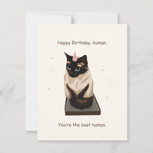 Tarjeta Festiva Funny Cat Birthday Card