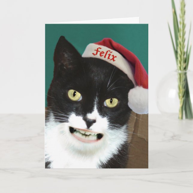 Tarjeta Festiva Funny Cat Christmas Greeting Card (Anverso)