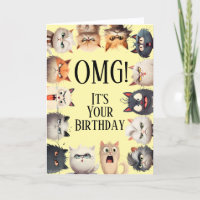 Funny Cat Faces Birday Card