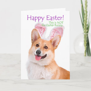 Tarjeta Festiva Funny Corgi Easter Card