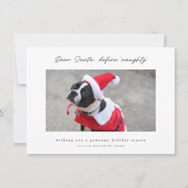 Tarjeta Festiva Funny & Cute Define Naughty Dog Holiday Card (Anverso)