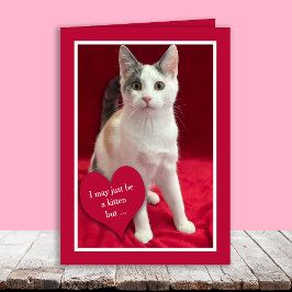 Tarjeta Festiva Funny Cute Kitten Cat Valentines Puns Card