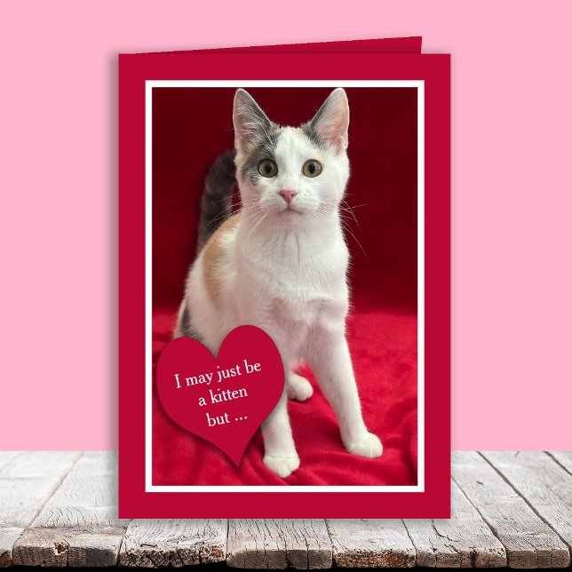 Tarjeta Festiva Funny Cute Kitten Cat Valentines Puns Card (Subido por el creador)