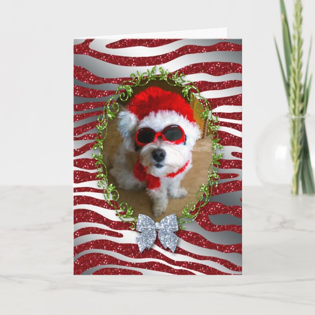 Tarjeta Festiva Funny Dog Navidades Card Zebra Purpurina (Anverso)