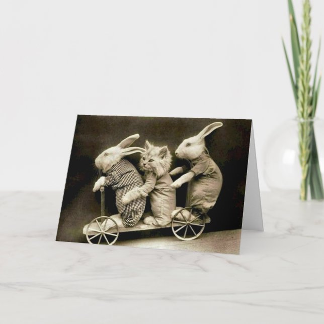 Tarjeta Festiva Funny Easter Card (Anverso)