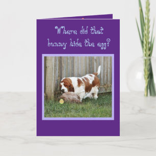 Tarjeta Festiva Funny Easter Card con Basset Hound, Bunny & Egg