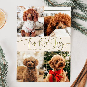 Tarjeta Festiva Funny Fur Real Joy Dog Photo Cream Navidades