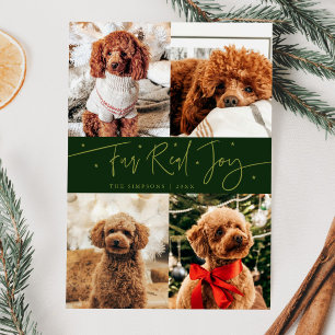 Tarjeta Festiva Funny Fur Real Joy Dog Photo Green Navidades