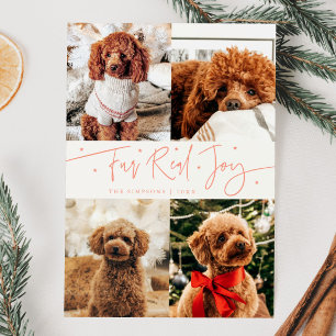 Tarjeta Festiva Funny Fur Real Joy Dog Photo Peach Navidades