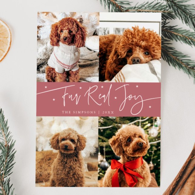 Tarjeta Festiva Funny Fur Real Joy Dog Photo Pink Navidades (Subido por el creador)