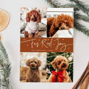 Tarjeta Festiva Funny Fur Real Joy Dog Photo Terracotta Navidades