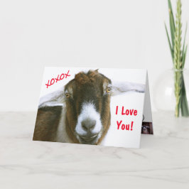 Tarjeta Festiva Funny Goat El día de San Valentín