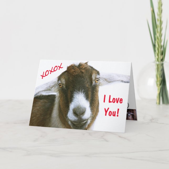 Tarjeta Festiva Funny Goat El día de San Valentín (Anverso)