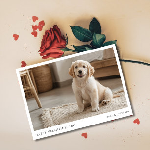 Tarjeta Festiva Funny Golden Retriever Puppy Dog Photo Valentines