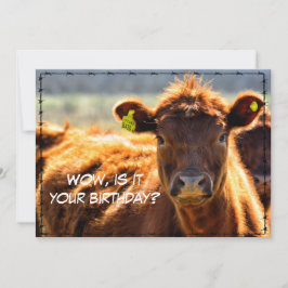 Tarjeta Festiva Funny Happy Birday Country Mail Cuentos desde gran