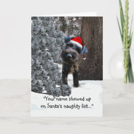 Tarjeta Festiva Funny Holiday Greeting Card w/ mini schnauzer