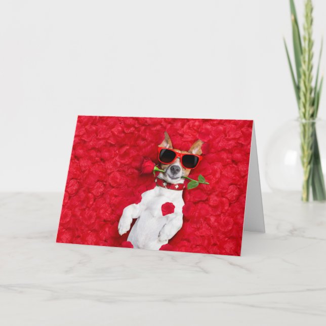 Tarjeta Festiva Funny Jack Russel Dog Día de San Valentín Card (Anverso)