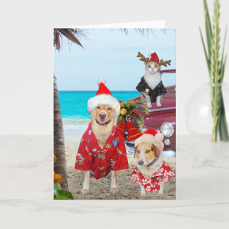 Tarjeta Festiva Funny Lab/Dog and Cat Hawaiian/Surfer Navidades