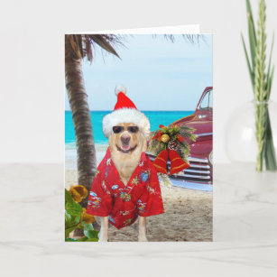Tarjeta Festiva Funny Lab/Dog Hawaiian/Surfer Navidades
