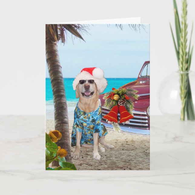 Tarjeta Festiva Funny Lab/Dog Hawaiian/Surfer Navidades (Anverso)