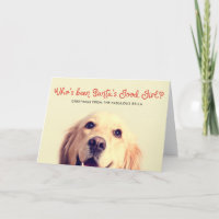 Funny Mascota Dog Holiday | Saludo fotográfico