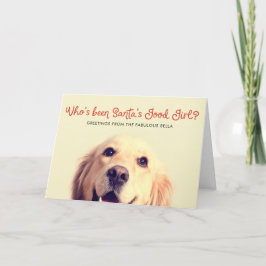 Tarjeta Festiva Funny Mascota Dog Holiday | Saludo fotográfico