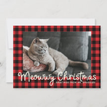 Funny Meowwy y Bwight Holiday | Saludo fotográfico