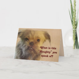 Tarjeta Festiva Funny Mutt Naughty Pregunta A Los Navidades De Fot