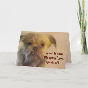 Tarjeta Festiva Funny Mutt Naughty Pregunta A Los Navidades De Fot