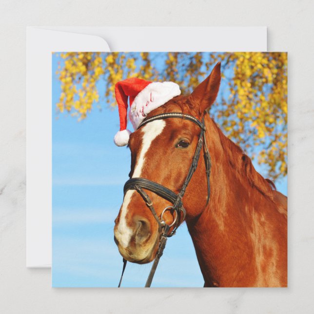 Tarjeta Festiva Funny Navidades de Caballos de Santa Hat (Anverso)