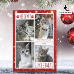Tarjeta Festiva Funny NAVIDADES de MEOWY de Collage de fotos Cat 4<br><div class="desc">Graciosa tarjeta de felicitación para festividades de gato con 4 fotos con los NAVIDADES de MEOWY (o el saludo de su personalizado) en tipografía moderna con letras a mano acentuada con huellas de pata de gato en un fondo blanco y rojo con luces y estrellas. ASISTENCIA: Para obtener ayuda con...</div>
