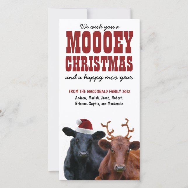Tarjeta Festiva Funny Navidades Mooey de la pareja de vacas navide (Anverso)