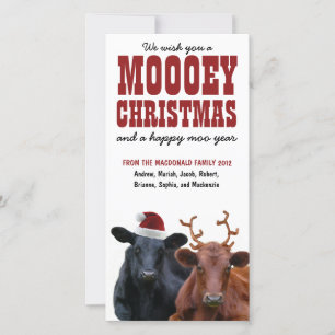 Tarjeta Festiva Funny Navidades Mooey de la pareja de vacas navide