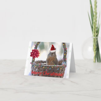 Tarjeta Festiva Funny Navidades Squirrel