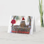 Tarjeta Festiva Funny Navidades Squirrel<br><div class="desc">Una ardilla sonriente con un sombrero de Santa se sienta en una canasta nevada con nieve en la nariz. La canasta tiene un arco rojo y la fotografía tiene coloridas luces Navidades alrededor. La leyenda dice "Feliz Navidad" con letras rojas.</div>