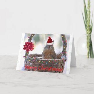 Tarjeta Festiva Funny Navidades Squirrel
