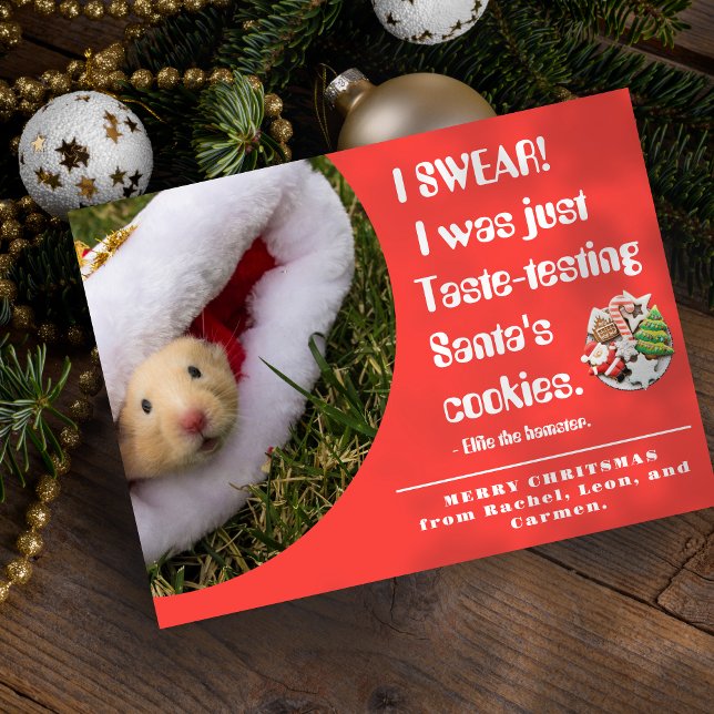 Tarjeta Festiva Funny pet Hamster Photo Christmas Card (Subido por el creador)