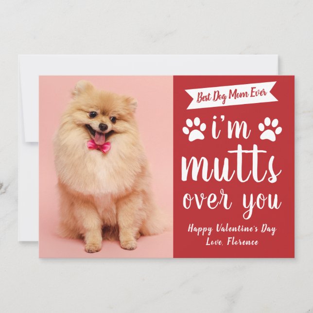 Tarjeta Festiva Funny Pets Dog Lover Happy Valentine's Day (Anverso)