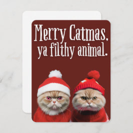 Tarjeta Festiva Funny Santa Cats Holiday Greeting