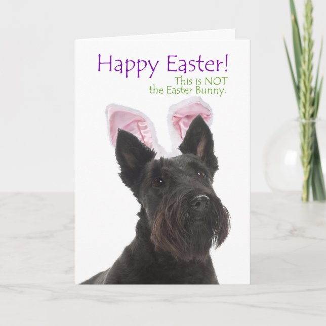 Tarjeta Festiva Funny Scottie Easter Card (Anverso)