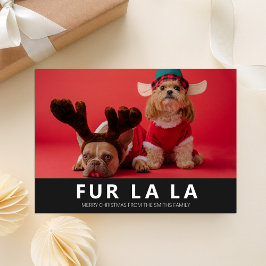 Tarjeta Festiva Fur La La Black Modern Mascotas Navidades Foto